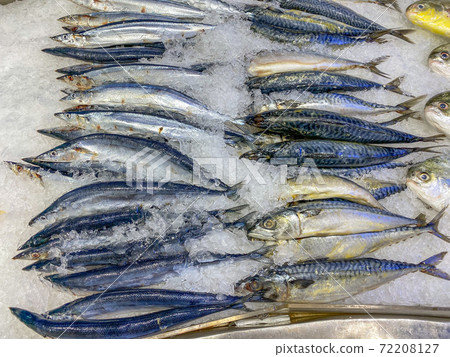 Mackerel fish piled on frozen ice for sale  72208127