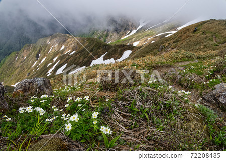Hakusanichige community on the ridgeline of Mt. Tanigawa and Joetsu and the mountain surface of the remaining snow Hakusanichige community on the ridgeline of Mt. Tanigawa and Joetsu and the mountain surface of the remaining snow 72208485