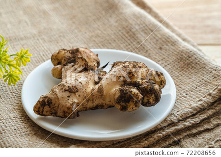 Soil ginger 72208656