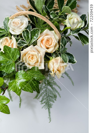 Still Life With Roses 72209439