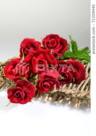 Still Life With Roses Still Life With Roses 72209440