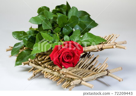 Red Rose And Wood Red Rose And Wood 72209443