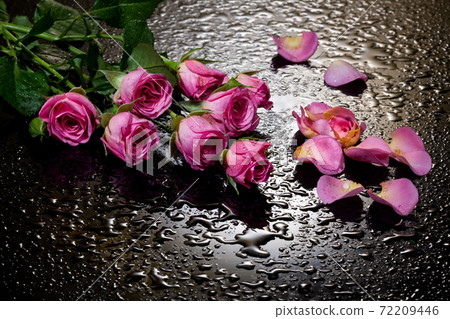 Roses And Petals On Black Roses And Petals On Black 72209446