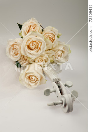 Roses And Violin Roses And Violin 72209453
