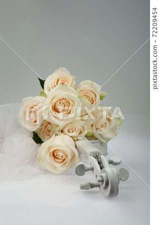 Roses And Violin Roses And Violin 72209454