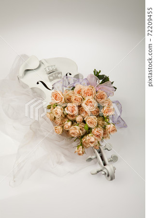Roses And Violin Roses And Violin 72209455