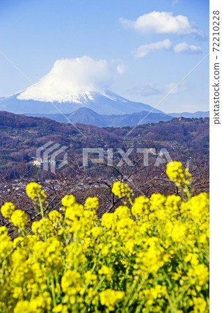 吾妻山的風景 吾妻山的風景 72210228