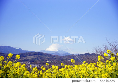 吾妻山的風景 吾妻山的風景 72210229