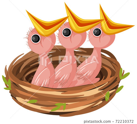 Hungry chicks cartoon character 72210372