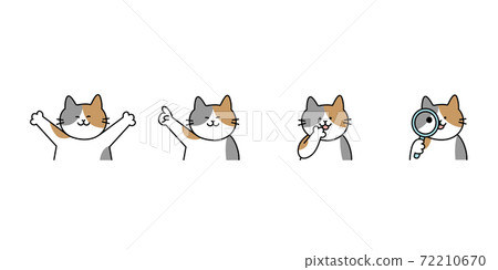 Calico 4 poses Calico 4 poses 72210670