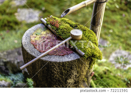 [Autumn] Yanagidani Kannon Hanatemizu 72211591