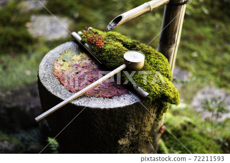 [Autumn] Yanagidani Kannon Hanatemizu 72211593
