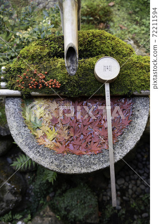 [秋天]柳屋觀音的花水 72211594