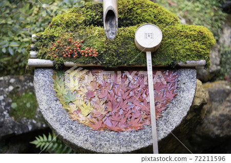 [Autumn] Yanagidani Kannon Hanatemizu 72211596