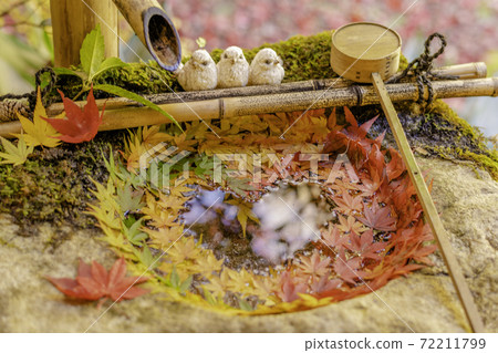 [Autumn] Yanagidani Kannon Hanatemizu 72211799