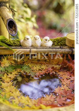 [Autumn] Yanagidani Kannon Hanatemizu 72211805