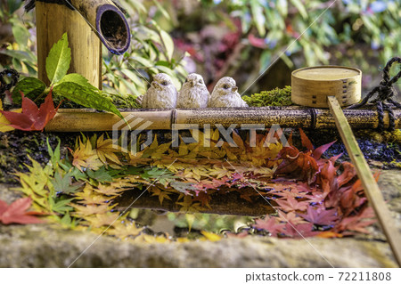 [Autumn] Yanagidani Kannon Hanatemizu 72211808