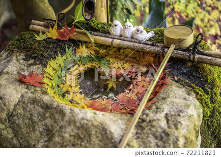 [Autumn] Yanagidani Kannon Hanatemizu 72211821