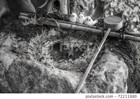 [Sepia]柳屋觀音的花水 72211880