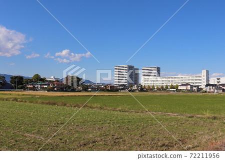 海老名市（神奈川縣）的田園風光 72211956