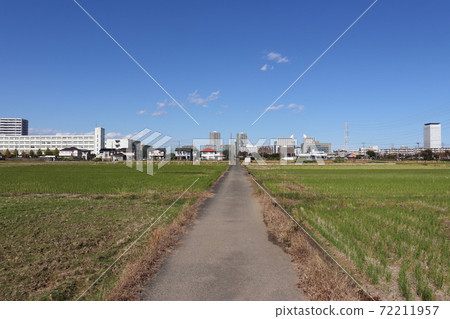 海老名市（神奈川縣）的田園風光 72211957