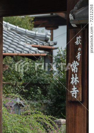 Kyoto, the Sanmon of Jorinji Temple and the autumn scenery 72212268
