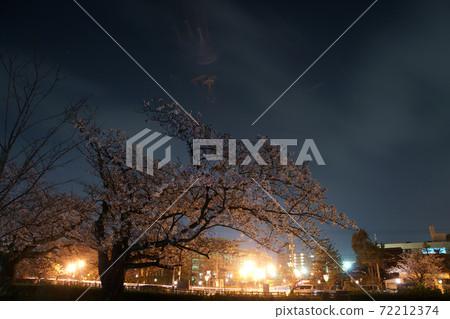 Tottori Four seasons walk Spring Nifukaku Tottori Four seasons walk Spring Nifukaku 72212374