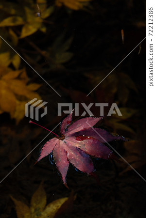 秋葉的圖像落在水的表面和秋天的結尾 72212386