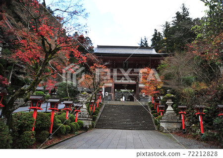 藏寶門2020年11月 藏寶門2020年11月 72212828