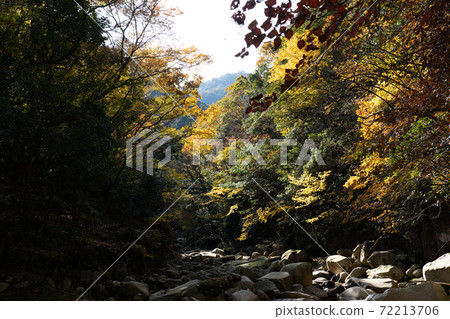 Uga Valley in autumn 72213706