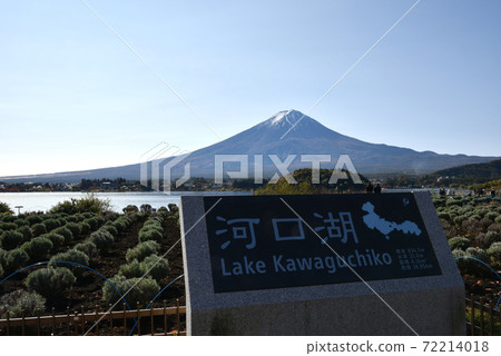 川口湖秋天的富士山 72214018