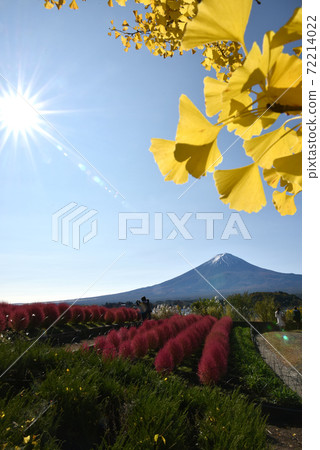 川口湖秋天的富士山 72214022