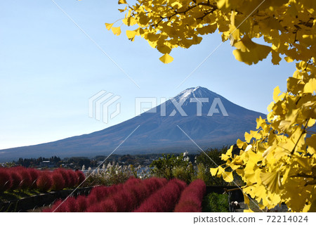 川口湖秋天的富士山 川口湖秋天的富士山 72214024