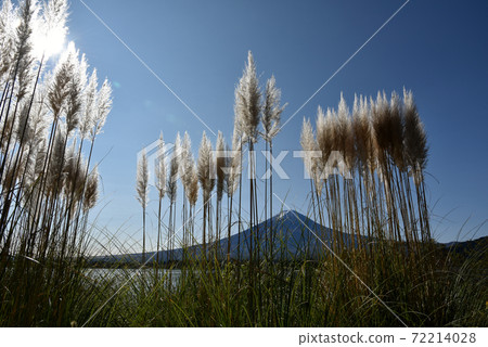 Mt. Fuji autumn from Lake Kawaguchi Mt. Fuji autumn from Lake Kawaguchi 72214028