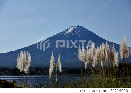 川口湖秋天的富士山 72214030