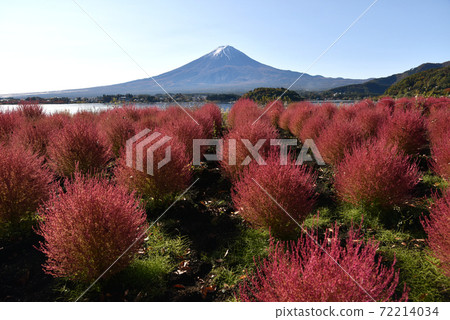 川口湖秋天的富士山 72214034