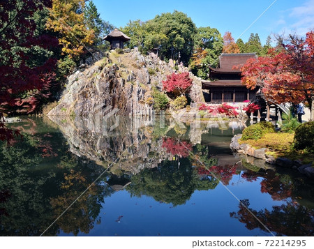 Tajimi: Autumn leaves of Kokeizan Eihoji Temple 72214295