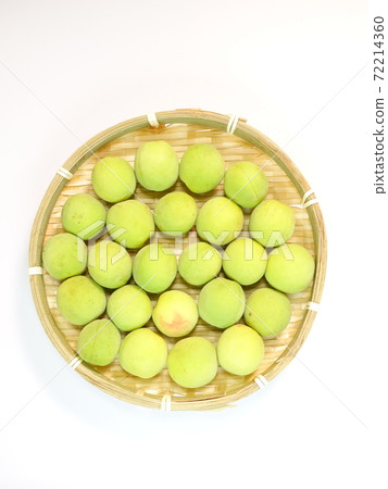 Ume Ume Ume 72214360