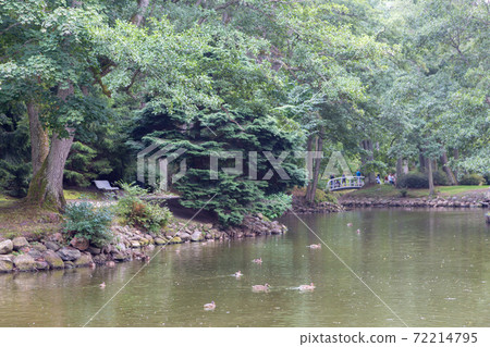 Palanga Botanical Park pond in summer midday 72214795