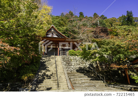 奈良縣丹頂神社櫻井市 奈良縣丹頂神社櫻井市 72215465