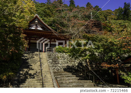 Danzan Shrine Gonden Sakurai City, Nara Prefecture 72215466