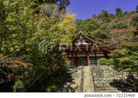 奈良縣丹頂神社櫻井市 72215469