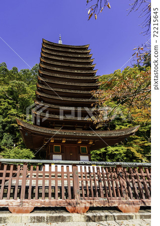 Danzan Shrine 13-storied Pagoda Sakurai City, Nara Prefecture 72215645