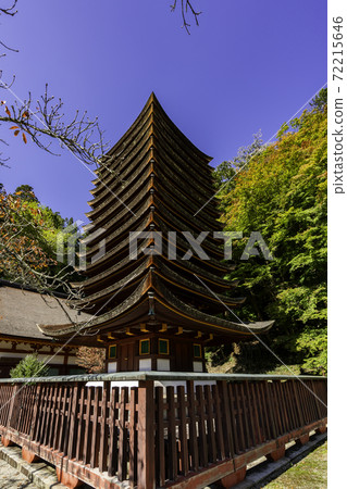 Danzan Shrine 13-storied Pagoda Sakurai City, Nara Prefecture 72215646