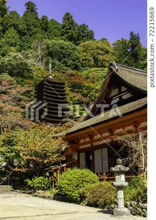 Danzan Shrine 13-storied Pagoda Sakurai City, Nara Prefecture Danzan Shrine 13-storied Pagoda Sakurai City, Nara Prefecture 72215669