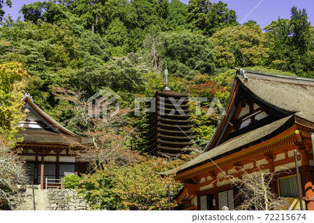 丹奈神社奈良縣櫻井市13層寶塔 丹奈神社奈良縣櫻井市13層寶塔 72215674