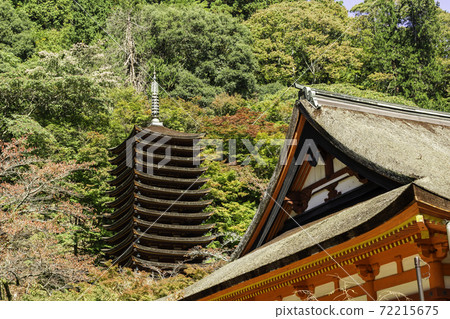 丹奈神社奈良縣櫻井市13層寶塔 丹奈神社奈良縣櫻井市13層寶塔 72215675