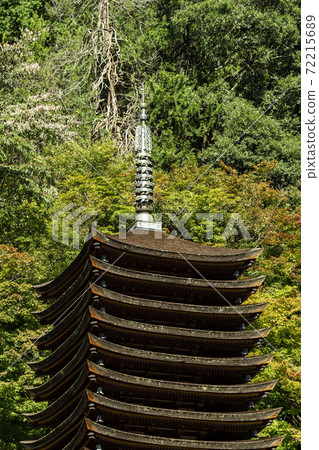 Danzan Shrine 13-storied Pagoda Sakurai City, Nara Prefecture 72215689