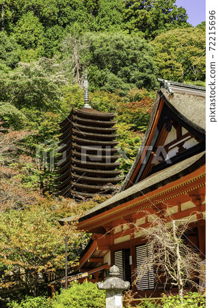 丹奈神社奈良縣櫻井市13層寶塔 72215696