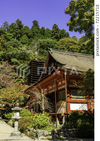 Danzan Shrine 13-storied Pagoda Sakurai City, Nara Prefecture 72215718